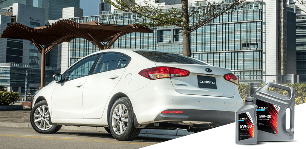 cerato cerato