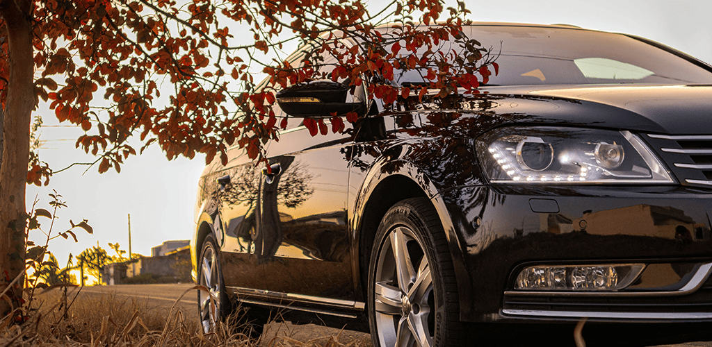 passat passat